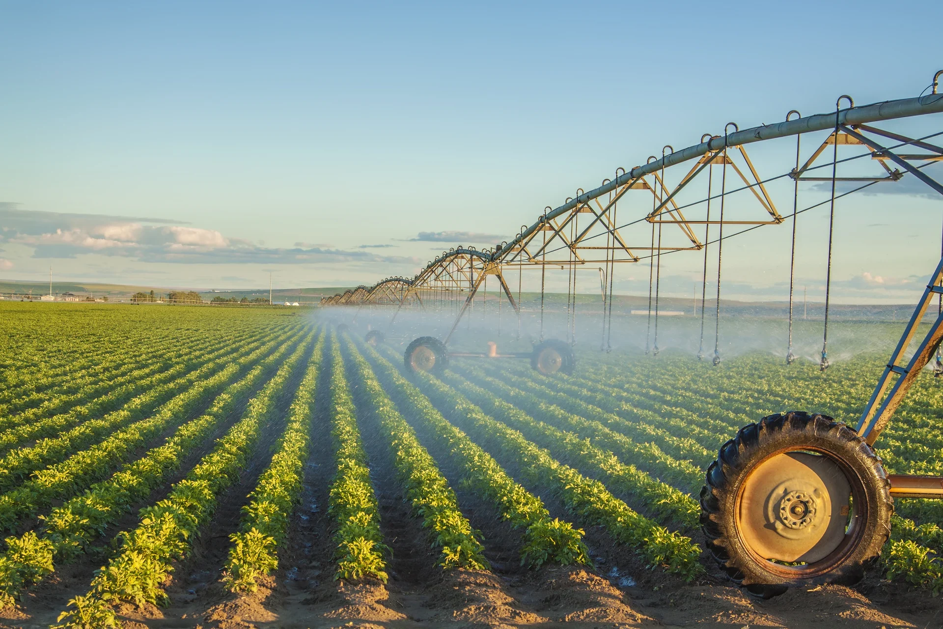 Center pivot irrigation watering green crop field